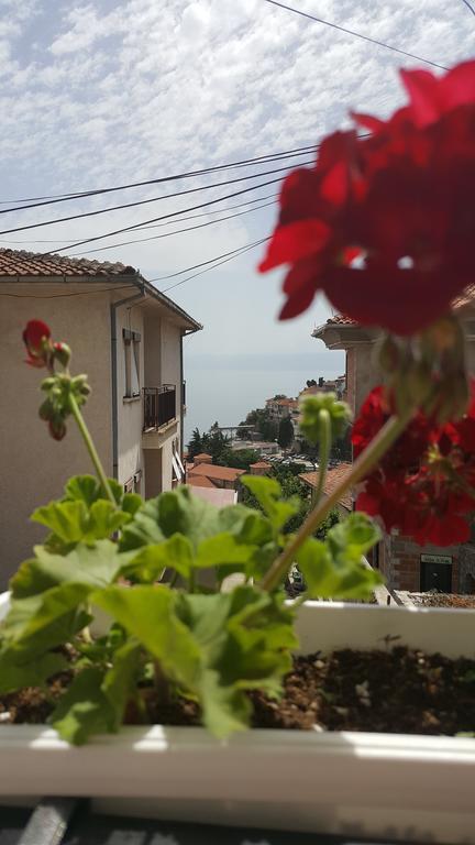 Villa Srma Ohrida Cameră foto